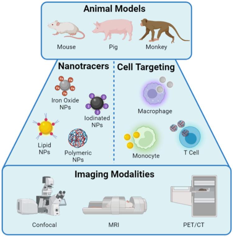 https://cdn.ncbi.nlm.nih.gov/pmc/blobs/e5ed/10238358/e2fc2a45160b/13346_2023_1290_Fig2_HTML.jpg
