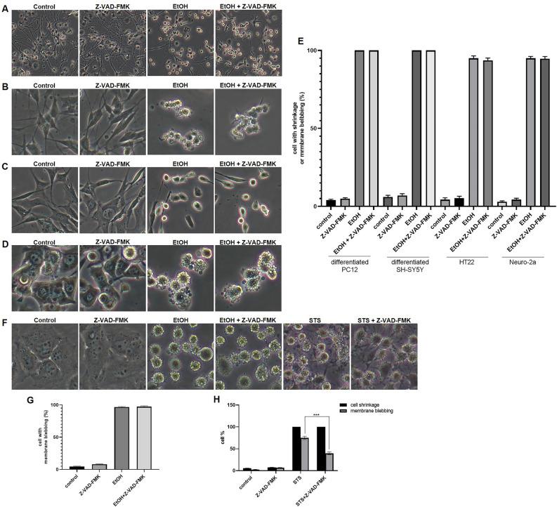 https://cdn.ncbi.nlm.nih.gov/pmc/blobs/e5ed/10329692/114c559bb6a5/41598_2023_38210_Fig8_HTML.jpg