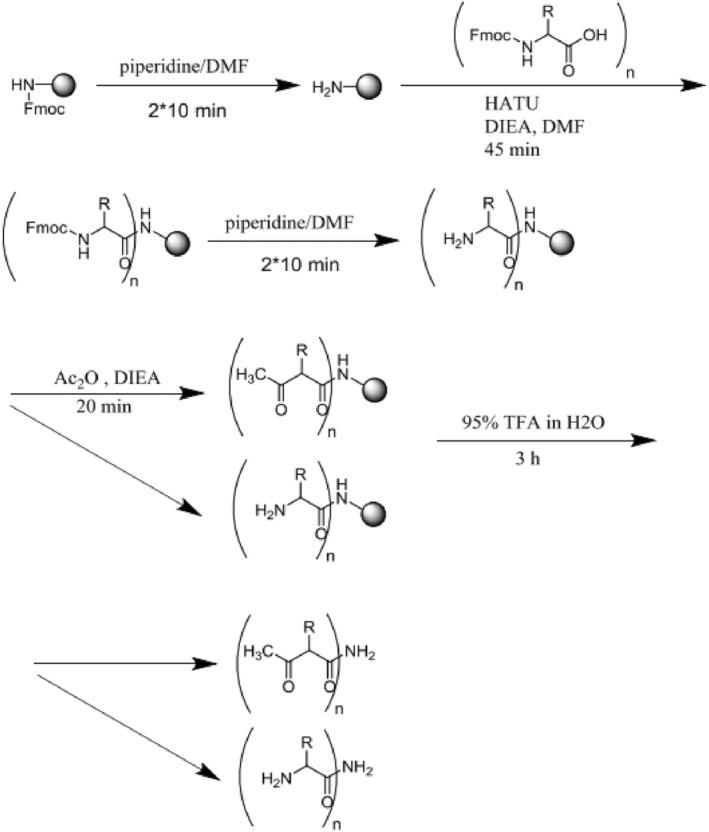 https://cdn.ncbi.nlm.nih.gov/pmc/blobs/e5ed/10809188/1e81ed62ca01/CNR2-7-e1922-g003.jpg