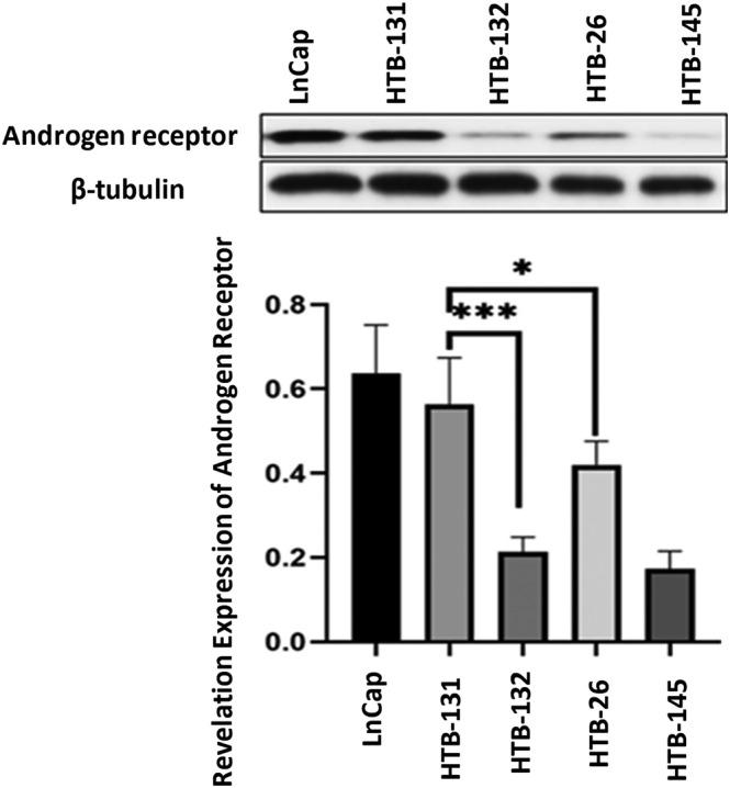 https://cdn.ncbi.nlm.nih.gov/pmc/blobs/e5ed/10809188/f6a8e1e8ea58/CNR2-7-e1922-g004.jpg