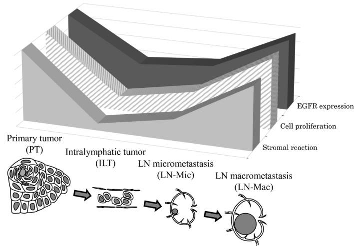 https://cdn.ncbi.nlm.nih.gov/pmc/blobs/e5ef/5276828/8561fb1f3ecf/CAS-108-136-g005.jpg