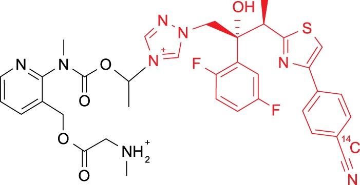 https://cdn.ncbi.nlm.nih.gov/pmc/blobs/e5ef/5700325/2643386dabba/zac0121767240001.jpg