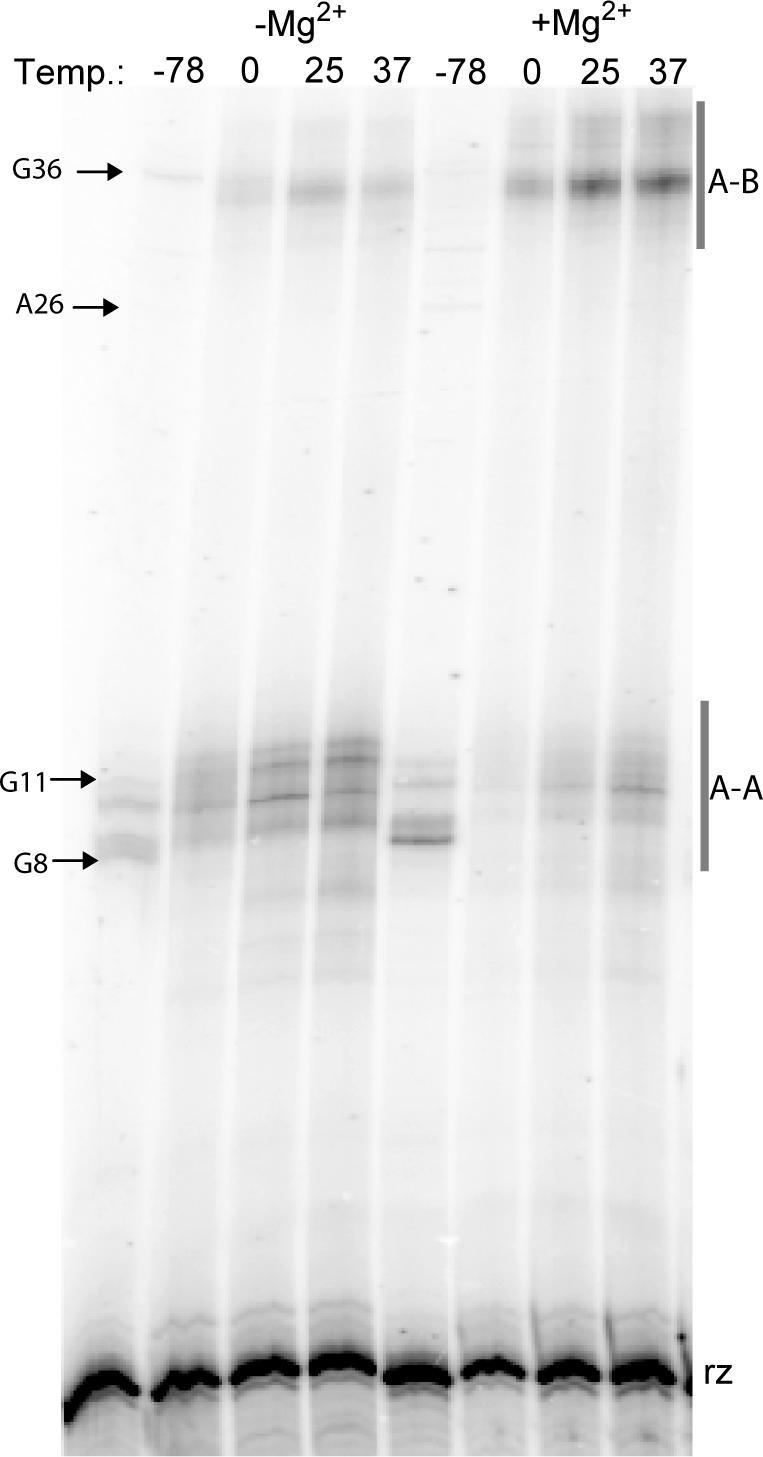 https://cdn.ncbi.nlm.nih.gov/pmc/blobs/e5f0/549404/6836a4c86d2c/gki237f6.jpg