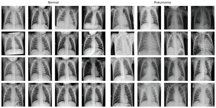 https://cdn.ncbi.nlm.nih.gov/pmc/blobs/e5f1/11048359/65b7473ab70e/bioengineering-11-00406-g002.jpg