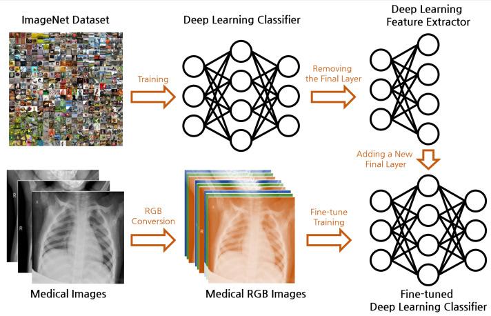 https://cdn.ncbi.nlm.nih.gov/pmc/blobs/e5f1/11048359/a1891c1fe90a/bioengineering-11-00406-g001.jpg