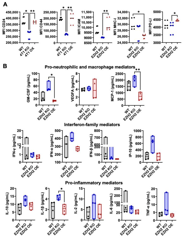 https://cdn.ncbi.nlm.nih.gov/pmc/blobs/e5f3/11121204/cf1ac4bcf8f8/ijms-25-05392-g003.jpg