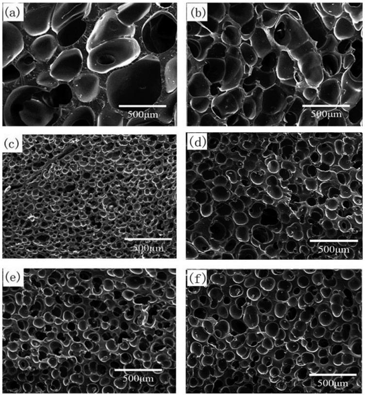 https://cdn.ncbi.nlm.nih.gov/pmc/blobs/e5f3/8512402/471223f8c159/polymers-13-03384-g011.jpg
