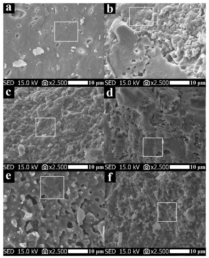https://cdn.ncbi.nlm.nih.gov/pmc/blobs/e5f5/8587831/026727b1f6f6/polymers-13-03754-g012.jpg