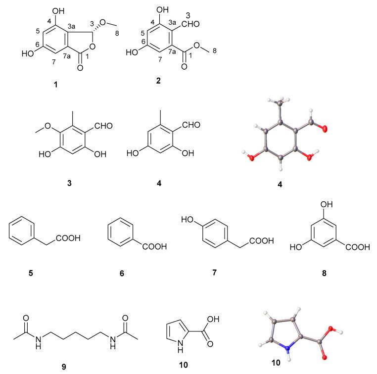 https://cdn.ncbi.nlm.nih.gov/pmc/blobs/e5f7/10303913/447b23de64eb/molecules-28-04760-g001.jpg