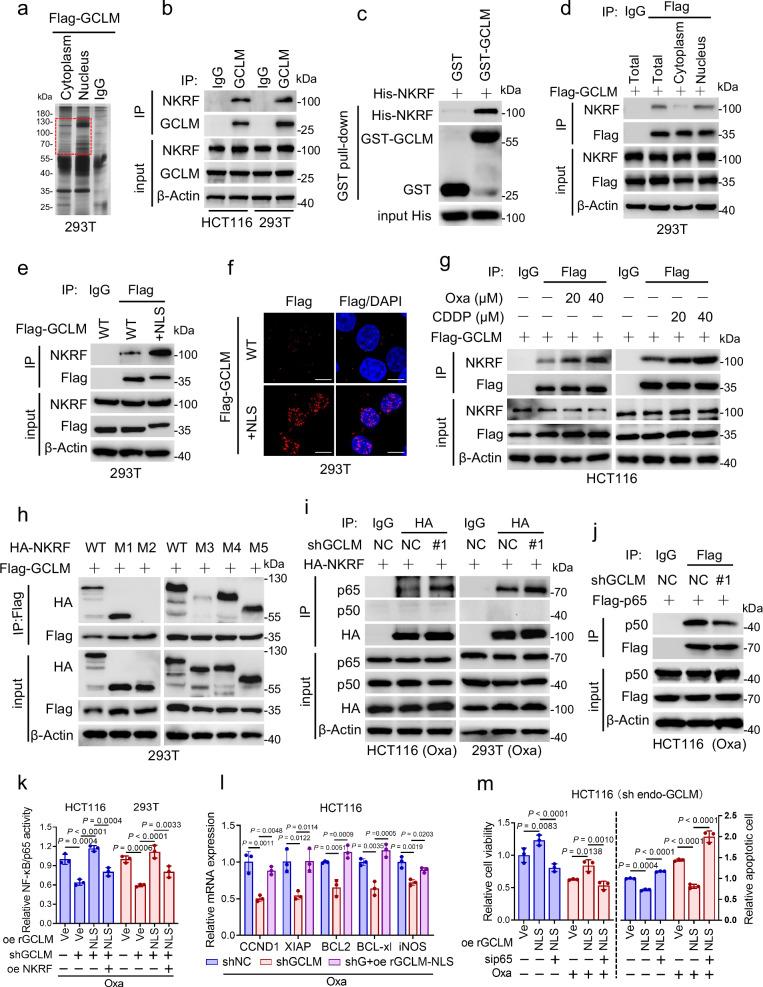 https://cdn.ncbi.nlm.nih.gov/pmc/blobs/e5f8/11696352/102d53347ed4/41467_2024_55568_Fig3_HTML.jpg