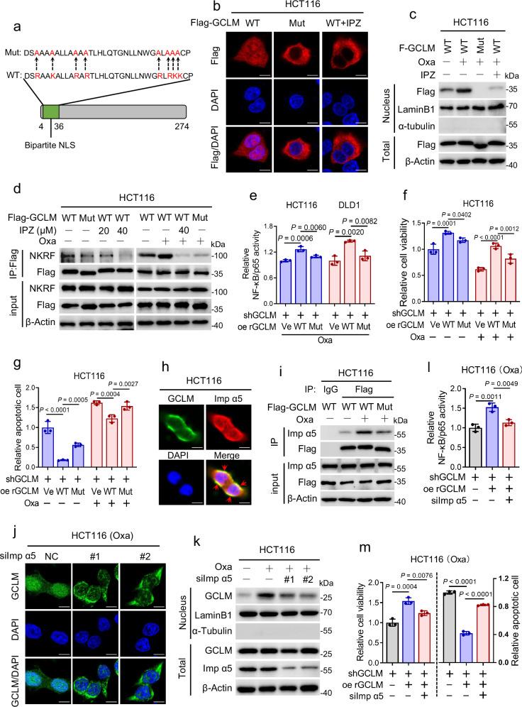 https://cdn.ncbi.nlm.nih.gov/pmc/blobs/e5f8/11696352/2e12f31dc1f3/41467_2024_55568_Fig4_HTML.jpg