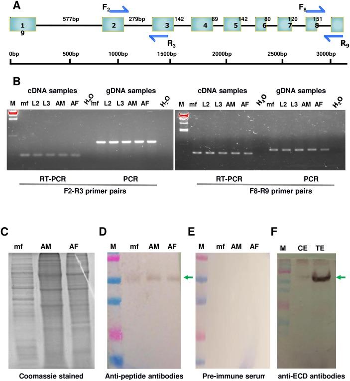 https://cdn.ncbi.nlm.nih.gov/pmc/blobs/e5f8/6157839/3d96e762d9be/pone.0202915.g007.jpg
