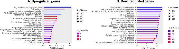 https://cdn.ncbi.nlm.nih.gov/pmc/blobs/e5fa/11537075/036eee9cb090/spectrum.01531-24.f003.jpg