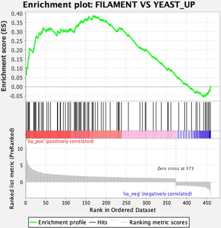 https://cdn.ncbi.nlm.nih.gov/pmc/blobs/e5fa/11537075/80e9003c136d/spectrum.01531-24.f004.jpg