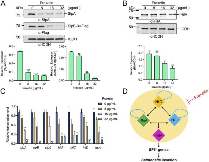 https://cdn.ncbi.nlm.nih.gov/pmc/blobs/e5fa/9769827/db5e6e9fd525/spectrum.02949-22-f004.jpg