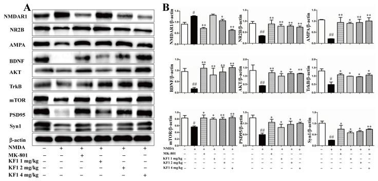 https://cdn.ncbi.nlm.nih.gov/pmc/blobs/e5fc/9785992/3e3808a39e61/ijms-23-16150-g009.jpg