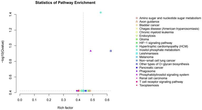 https://cdn.ncbi.nlm.nih.gov/pmc/blobs/e5fe/12329466/060967782a18/fvets-12-1482031-g004.jpg