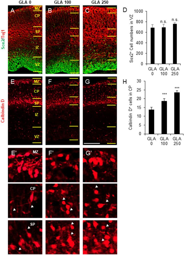 https://cdn.ncbi.nlm.nih.gov/pmc/blobs/e5fe/7691990/58ec6f178525/41598_2020_76869_Fig6_HTML.jpg