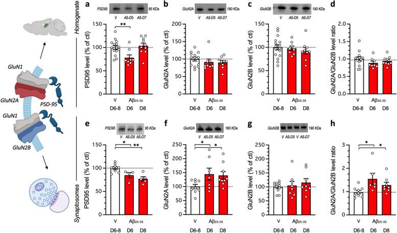 https://cdn.ncbi.nlm.nih.gov/pmc/blobs/e600/11702188/1de32792fe76/13195_2024_1648_Fig4_HTML.jpg