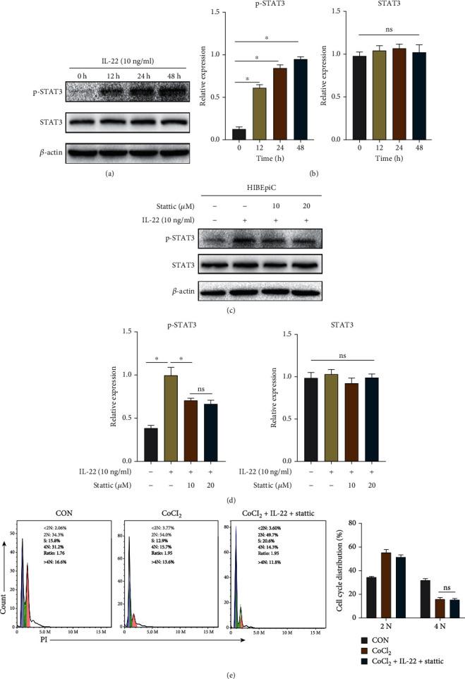https://cdn.ncbi.nlm.nih.gov/pmc/blobs/e601/9113870/1b05e2726a43/OMCL2022-9635075.006.jpg