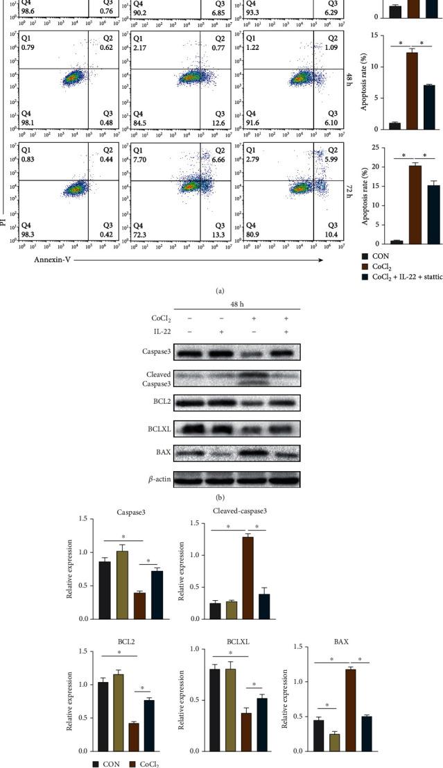 https://cdn.ncbi.nlm.nih.gov/pmc/blobs/e601/9113870/bef7efee157c/OMCL2022-9635075.004.jpg