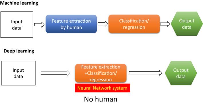 https://cdn.ncbi.nlm.nih.gov/pmc/blobs/e602/8647580/8971fceced98/DEN-33-903-g003.jpg