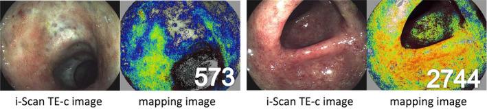 https://cdn.ncbi.nlm.nih.gov/pmc/blobs/e602/8647580/d0954c768e16/DEN-33-903-g001.jpg