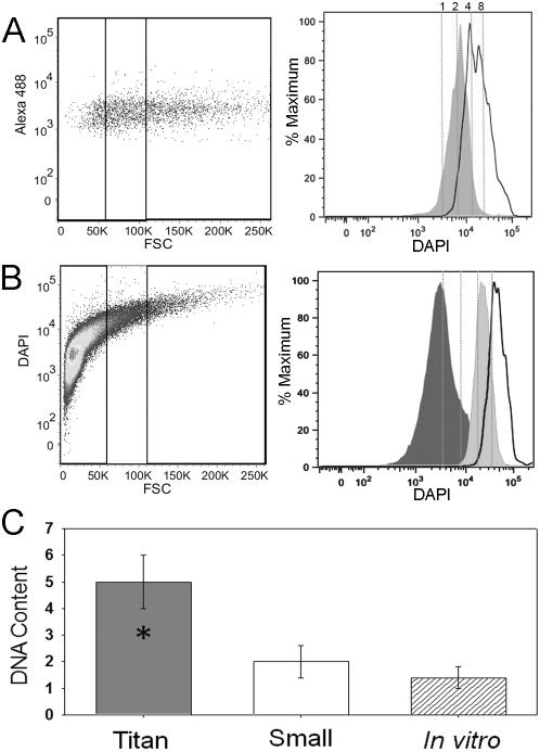 https://cdn.ncbi.nlm.nih.gov/pmc/blobs/e604/2887476/b4be267078b8/ppat.1000953.g008.jpg