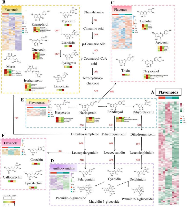 https://cdn.ncbi.nlm.nih.gov/pmc/blobs/e607/11700835/e704a98876b5/fnut-11-1495655-g005.jpg