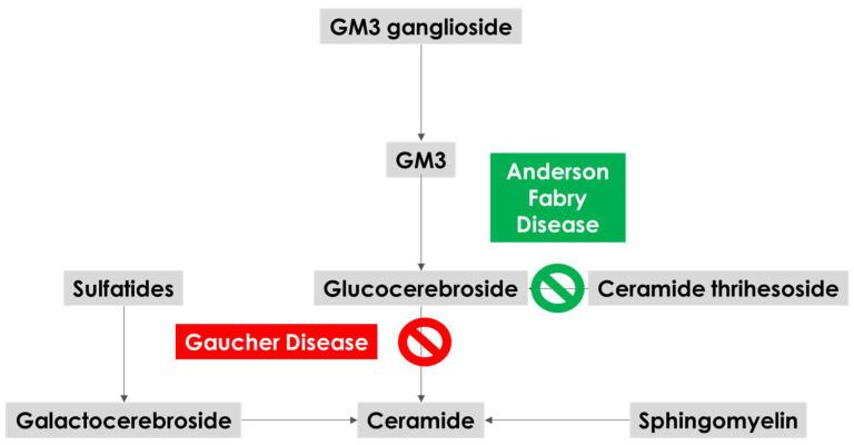 https://cdn.ncbi.nlm.nih.gov/pmc/blobs/e609/9776280/342e23574de1/biomedicines-10-03132-g001.jpg