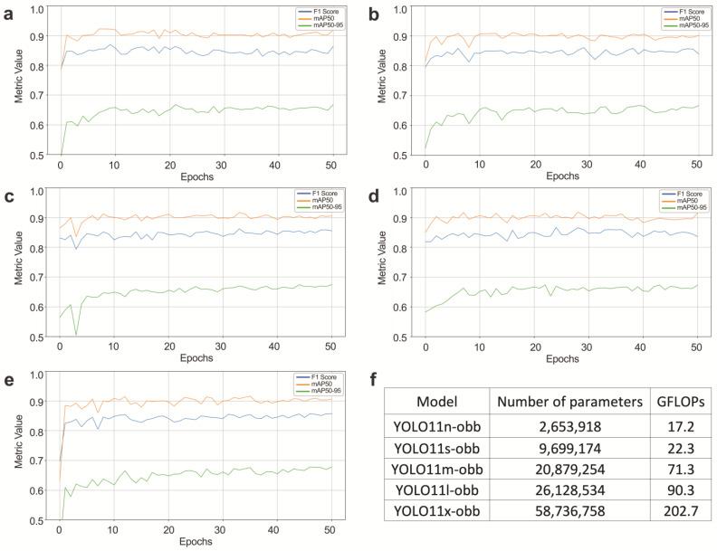 https://cdn.ncbi.nlm.nih.gov/pmc/blobs/e60a/11989036/0fe6163534ba/cells-14-00550-g003.jpg