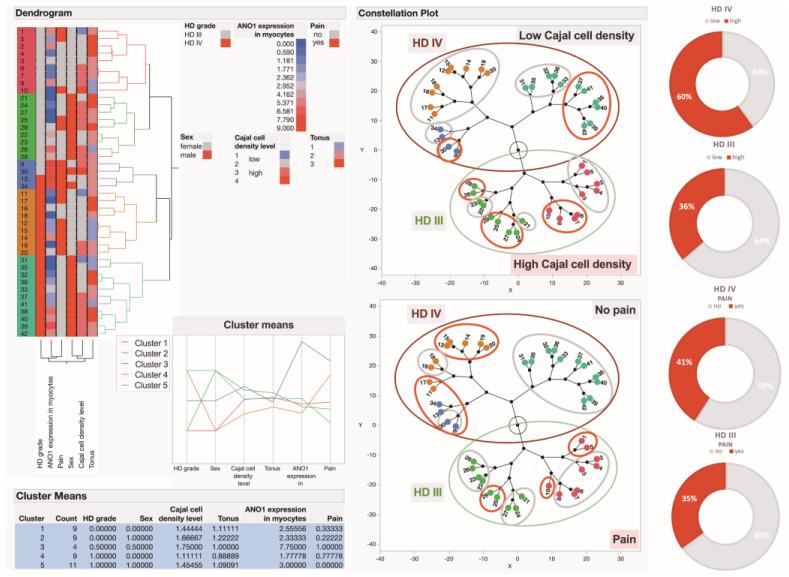 https://cdn.ncbi.nlm.nih.gov/pmc/blobs/e60a/11989036/234e63df4812/cells-14-00550-g004.jpg