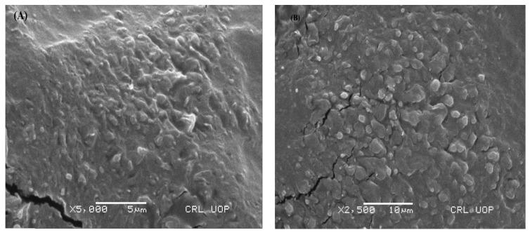 https://cdn.ncbi.nlm.nih.gov/pmc/blobs/e60d/10675164/1c5d240ea90e/pharmaceutics-15-02537-g001.jpg