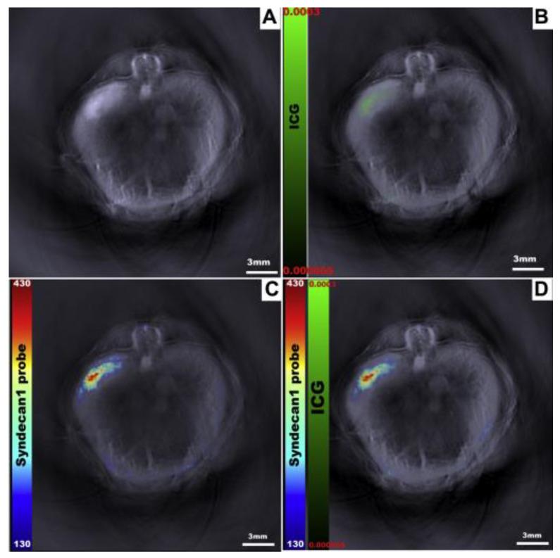 https://cdn.ncbi.nlm.nih.gov/pmc/blobs/e60e/10377919/1dafa94ea163/cancers-15-03694-g006.jpg
