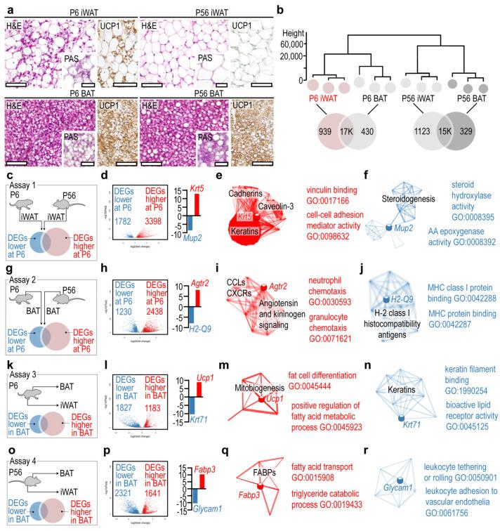 https://cdn.ncbi.nlm.nih.gov/pmc/blobs/e60f/8470180/42b247830f28/cells-10-02368-g001.jpg