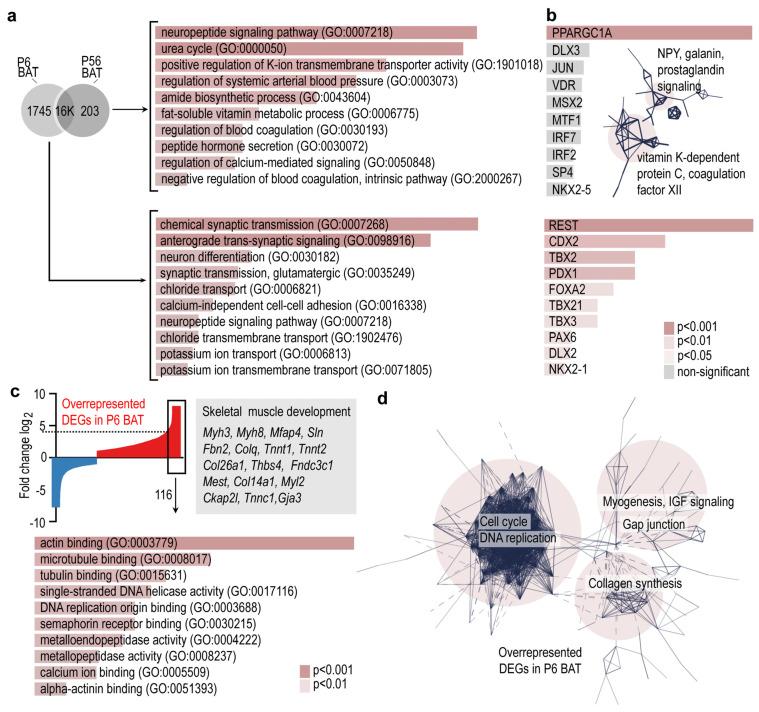 https://cdn.ncbi.nlm.nih.gov/pmc/blobs/e60f/8470180/b2e1efc66b5b/cells-10-02368-g002.jpg