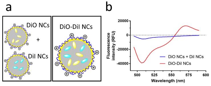 https://cdn.ncbi.nlm.nih.gov/pmc/blobs/e611/6215305/189d70553482/nanomaterials-08-00846-g003.jpg