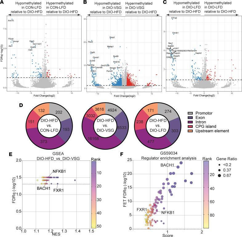 https://cdn.ncbi.nlm.nih.gov/pmc/blobs/e612/10629811/d5651ce75dba/jciinsight-8-172868-g043.jpg