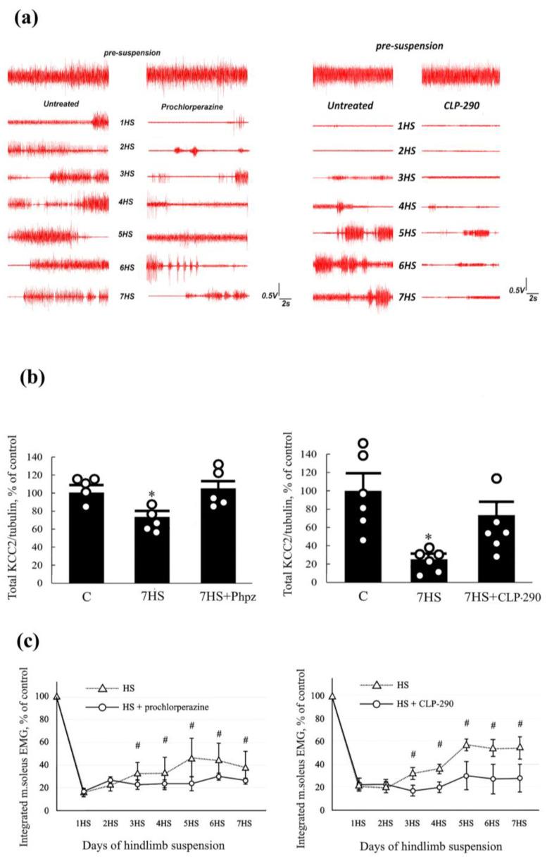 https://cdn.ncbi.nlm.nih.gov/pmc/blobs/e613/11594575/e5bb25d41311/ijms-25-12462-g005.jpg