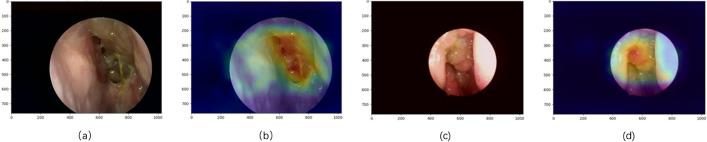 https://cdn.ncbi.nlm.nih.gov/pmc/blobs/e613/12297428/1864ba391593/12938_2025_1428_Fig3_HTML.jpg