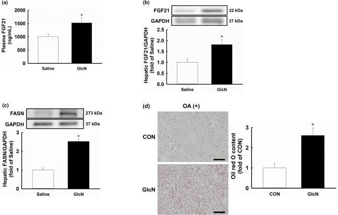 https://cdn.ncbi.nlm.nih.gov/pmc/blobs/e614/12003878/061be472d6fb/41598_2025_96249_Fig5_HTML.jpg