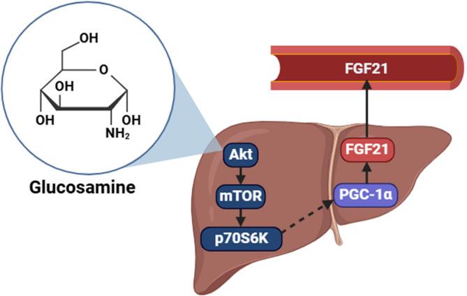 https://cdn.ncbi.nlm.nih.gov/pmc/blobs/e614/12003878/5223164e2198/41598_2025_96249_Fig6_HTML.jpg