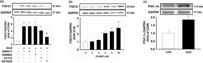 https://cdn.ncbi.nlm.nih.gov/pmc/blobs/e614/12003878/6ba1d802b42e/41598_2025_96249_Fig4_HTML.jpg