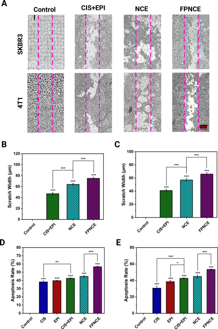 https://cdn.ncbi.nlm.nih.gov/pmc/blobs/e618/8864616/2388f8e4c00e/mt1c01107_0005.jpg