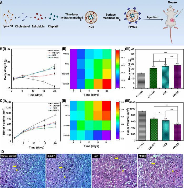 https://cdn.ncbi.nlm.nih.gov/pmc/blobs/e618/8864616/7ec342bf9f8c/mt1c01107_0009.jpg