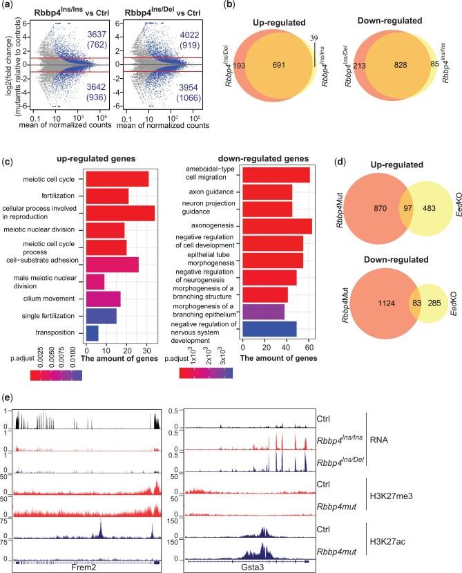 https://cdn.ncbi.nlm.nih.gov/pmc/blobs/e618/9157164/1fa980faa703/jkac082f4.jpg