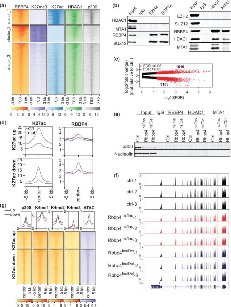 https://cdn.ncbi.nlm.nih.gov/pmc/blobs/e618/9157164/1ffe401428ec/jkac082f3.jpg