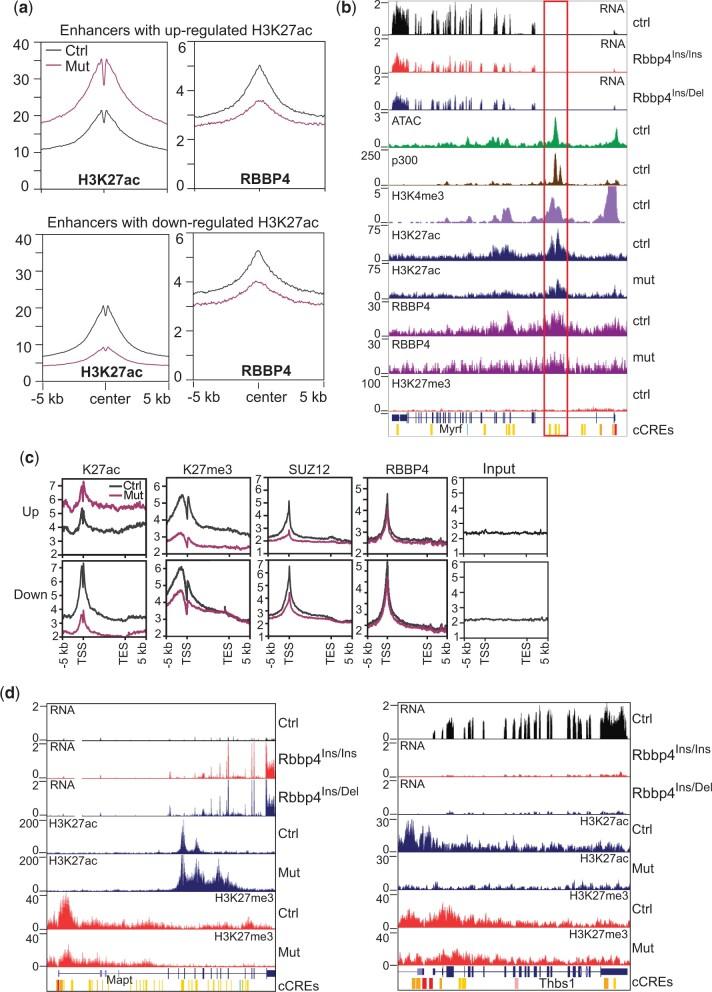 https://cdn.ncbi.nlm.nih.gov/pmc/blobs/e618/9157164/6025867dd18c/jkac082f5.jpg