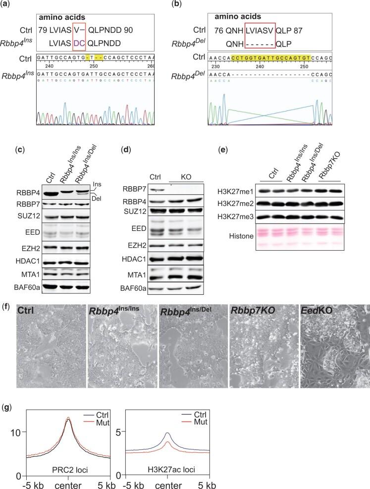 https://cdn.ncbi.nlm.nih.gov/pmc/blobs/e618/9157164/bc2ff5ecb605/jkac082f1.jpg