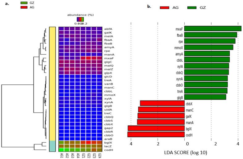https://cdn.ncbi.nlm.nih.gov/pmc/blobs/e61a/8466292/346a35f82dc3/genes-12-01431-g005.jpg